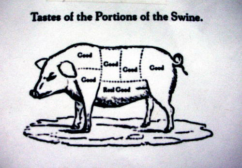 swine500